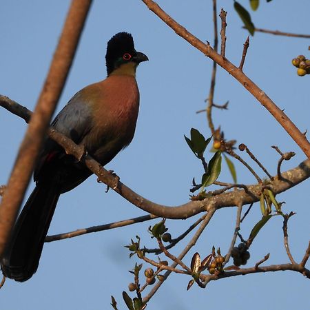 Dagama Dam - White River - Kestrel - House 21 外观 照片