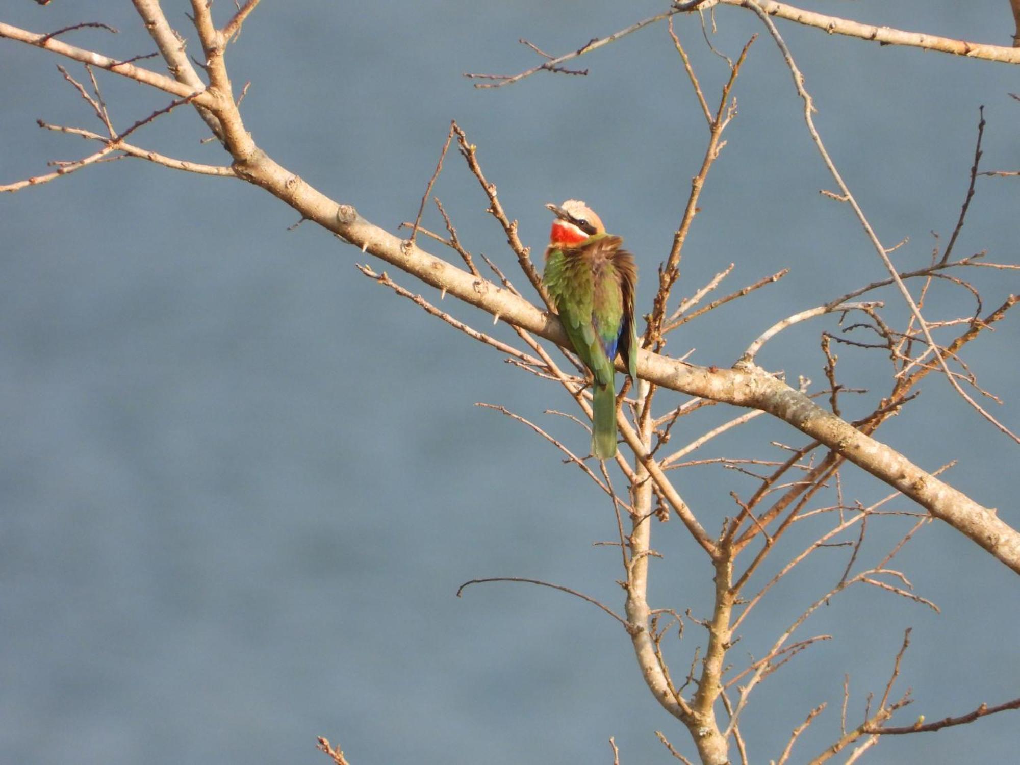 Dagama Dam - White River - Kestrel - House 21 外观 照片